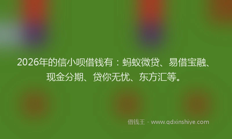 2026年的信小呗借钱有：蚂蚁微贷、易借宝融、现金分期、贷你无忧、东方汇等。