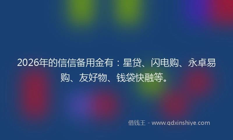 2026年的信信备用金有：星贷、闪电购、永卓易购、友好物、钱袋快融等。
