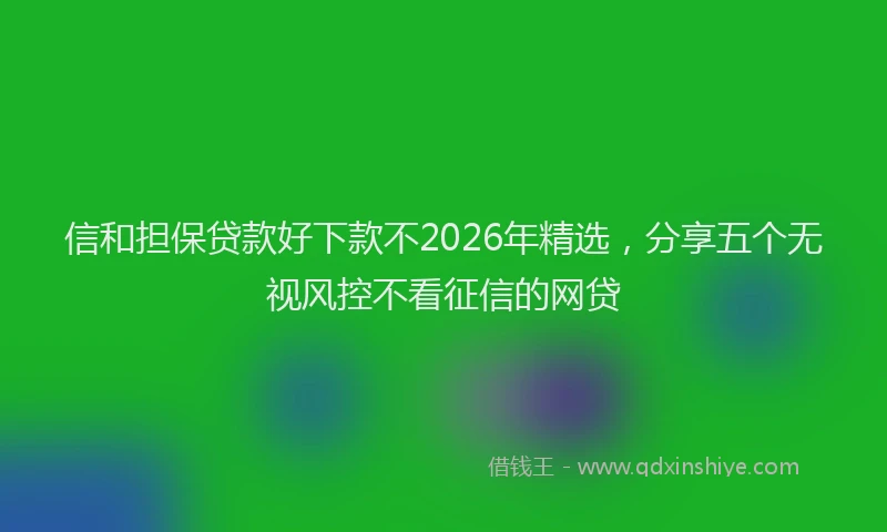 信和担保贷款好下款不2026年精选，分享五个无视风控不看征信的网贷