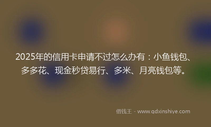 2025年的信用卡申请不过怎么办有：小鱼钱包、多多花、现金秒贷易行、多米、月亮钱包等。