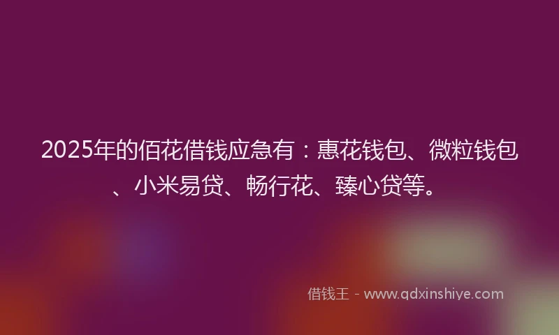2025年的佰花借钱应急有：惠花钱包、微粒钱包、小米易贷、畅行花、臻心贷等。