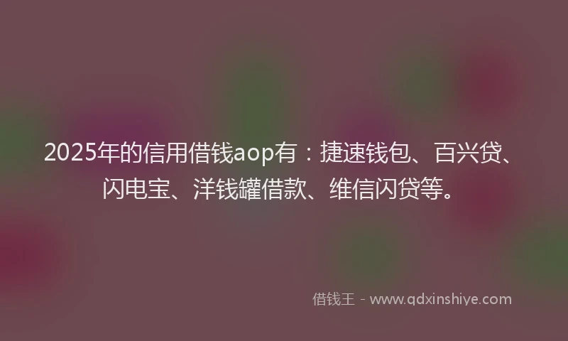 2025年的信用借钱aop有：捷速钱包、百兴贷、闪电宝、洋钱罐借款、维信闪贷等。