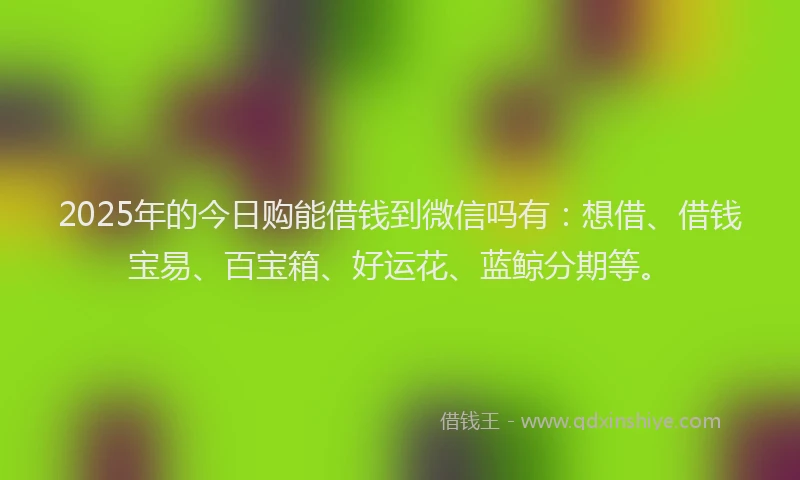 2025年的今日购能借钱到微信吗有：想借、借钱宝易、百宝箱、好运花、蓝鲸分期等。
