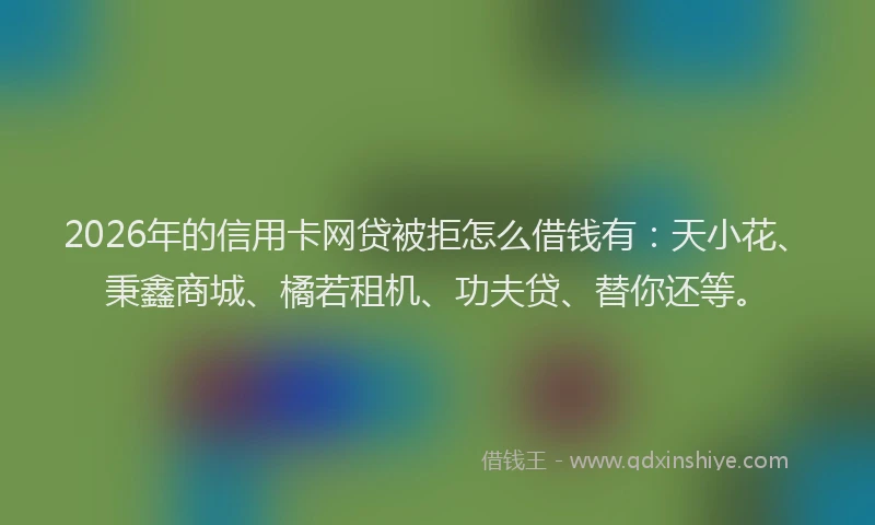 2026年的信用卡网贷被拒怎么借钱有:天小花、秉鑫商城、橘若租机、功夫贷、替你还等。
