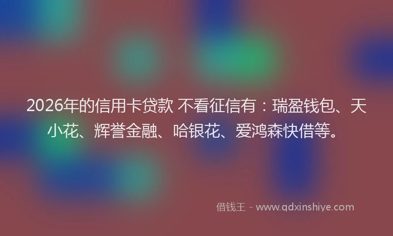 2026年的信用卡贷款 不看征信有：瑞盈钱包、天小花、辉誉金融、哈银花、爱鸿森快借等。