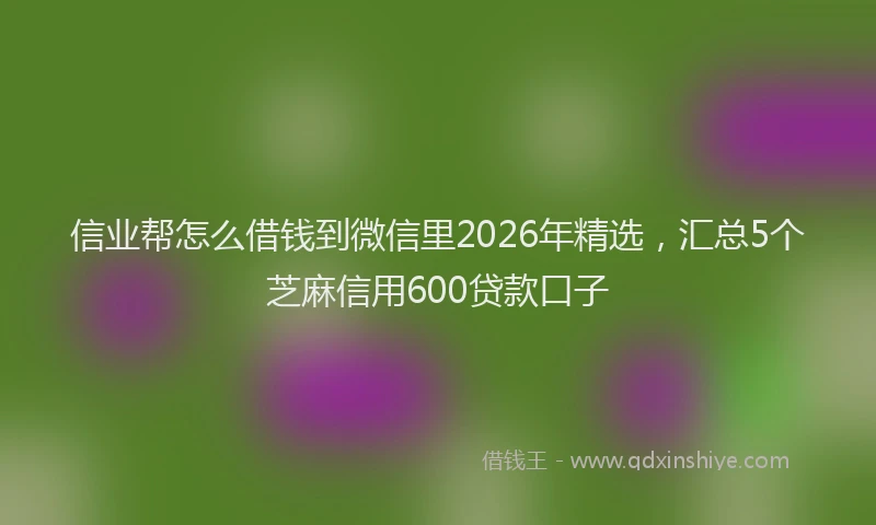信业帮怎么借钱到微信里2026年精选，汇总5个芝麻信用600贷款口子