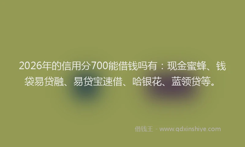 2026年的信用分700能借钱吗有:现金蜜蜂、钱袋易贷融、易贷宝速借、哈银花、蓝领贷等。