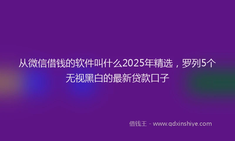 从微信借钱的软件叫什么2025年精选,罗列5个无视黑白的最新贷款口子