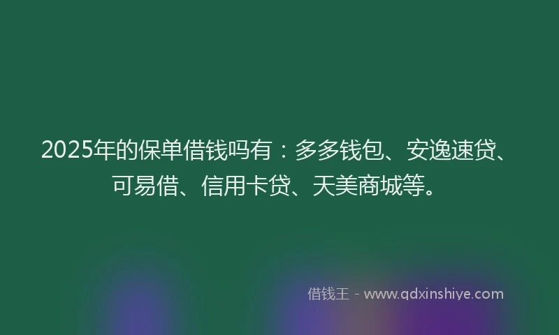 2025年的保单借钱吗有：多多钱包、安逸速贷、可易借、信用卡贷、天美商城等。