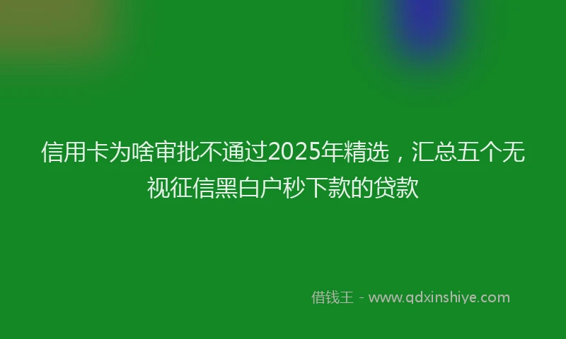信用卡为啥审批不通过2025年精选,汇总五个无视征信黑白户秒下款的贷款