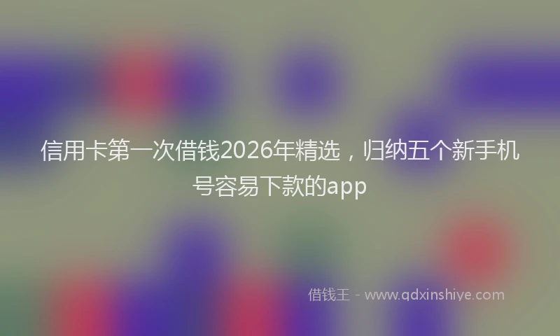 信用卡第一次借钱2026年精选，归纳五个新手机号容易下款的app