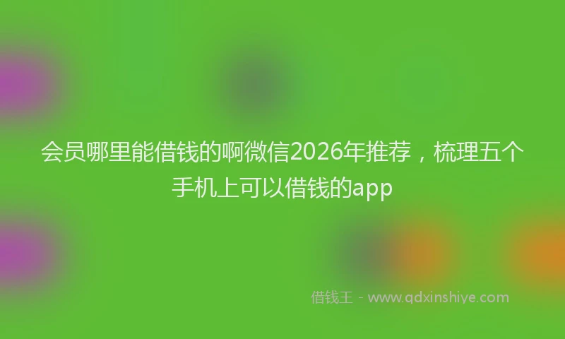 会员哪里能借钱的啊微信2026年推荐，梳理五个手机上可以借钱的app