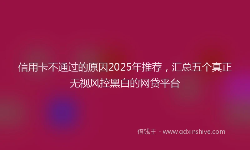 信用卡不通过的原因2025年推荐，汇总五个真正无视风控黑白的网贷平台