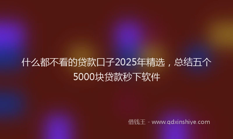 什么都不看的贷款口子2025年精选，总结五个5000块贷款秒下软件