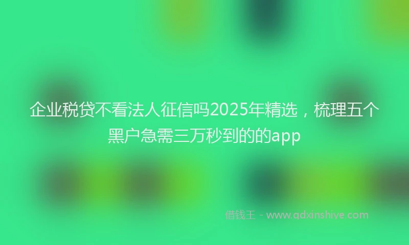 企业税贷不看法人征信吗2025年精选，梳理五个黑户急需三万秒到的的app