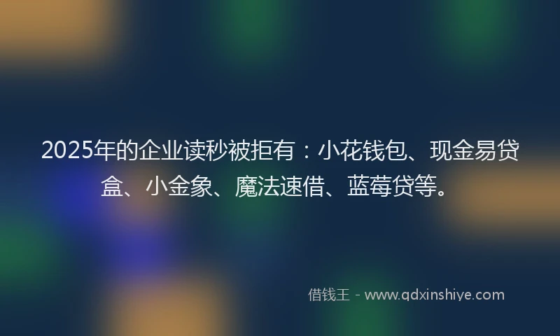 2025年的企业读秒被拒有：小花钱包、现金易贷盒、小金象、魔法速借、蓝莓贷等。