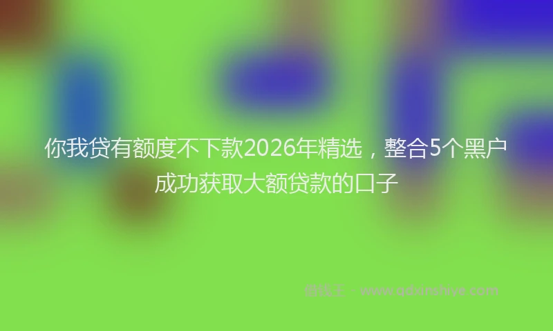 你我贷有额度不下款2026年精选，整合5个黑户成功获取大额贷款的口子