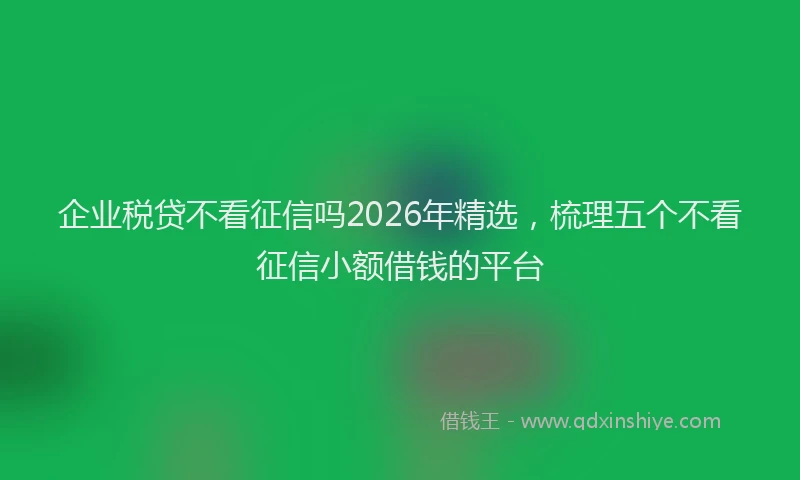 企业税贷不看征信吗2026年精选，梳理五个不看征信小额借钱的平台