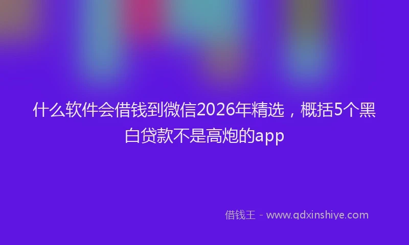 什么软件会借钱到微信2026年精选，概括5个黑白贷款不是高炮的app