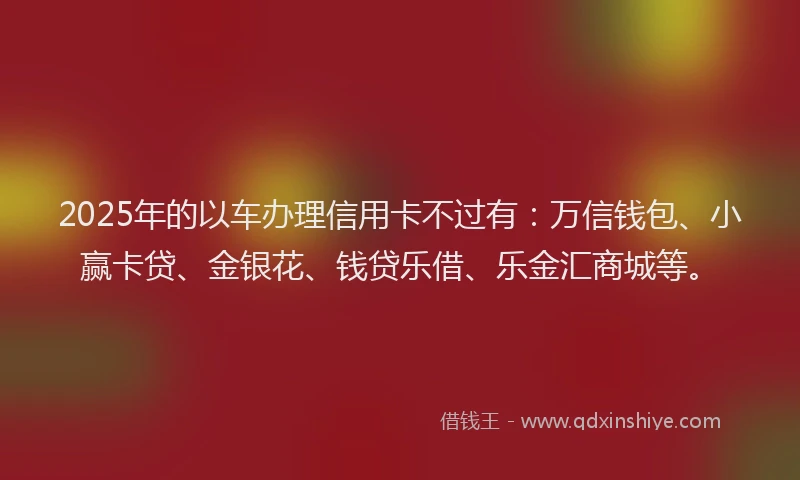 2025年的以车办理信用卡不过有：万信钱包、小赢卡贷、金银花、钱贷乐借、乐金汇商城等。