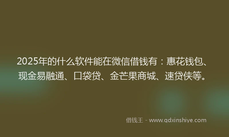 2025年的什么软件能在微信借钱有：惠花钱包、现金易融通、口袋贷、金芒果商城、速贷侠等。