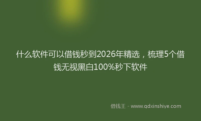 什么软件可以借钱秒到2026年精选，梳理5个借钱无视黑白100%秒下软件