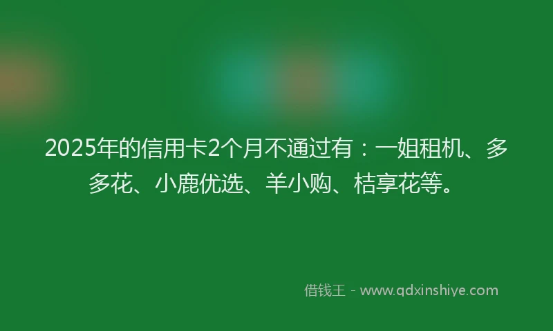 2025年的信用卡2个月不通过有：一姐租机、多多花、小鹿优选、羊小购、桔享花等。
