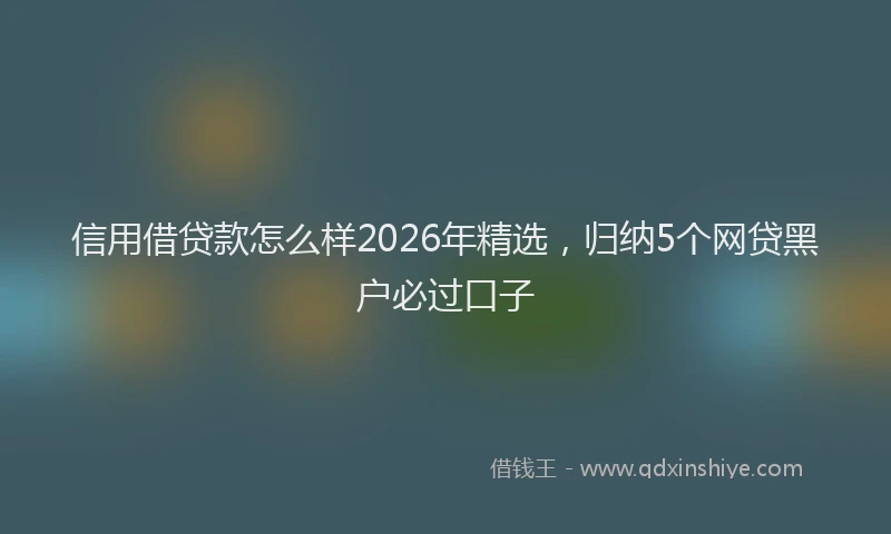 信用借贷款怎么样2026年精选，归纳5个网贷黑户必过口子