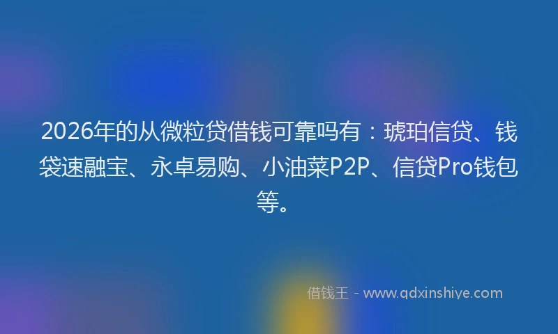 2026年的从微粒贷借钱可靠吗有:琥珀信贷、钱袋速融宝、永卓易购、小油菜P2P、信贷Pro钱包等。