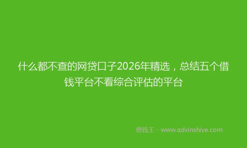 什么都不查的网贷口子2026年精选，总结五个借钱平台不看综合评估的平台