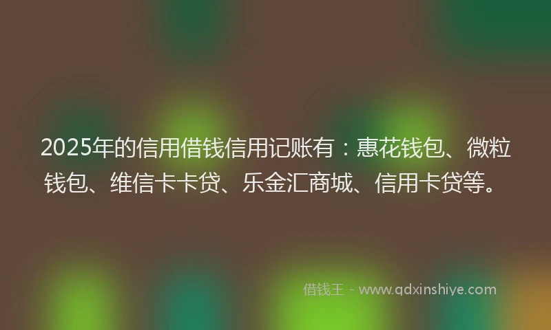 2025年的信用借钱信用记账有：惠花钱包、微粒钱包、维信卡卡贷、乐金汇商城、信用卡贷等。