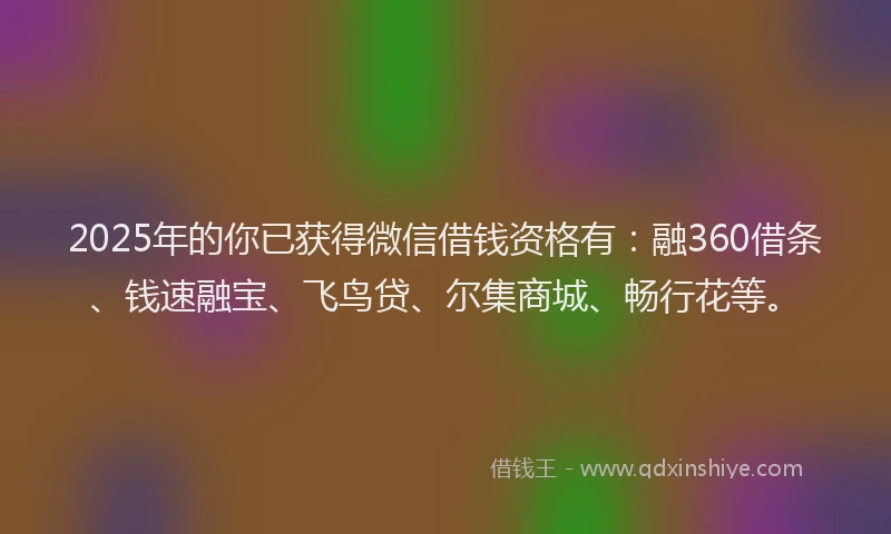 2025年的你已获得微信借钱资格有：融360借条、钱速融宝、飞鸟贷、尔集商城、畅行花等。