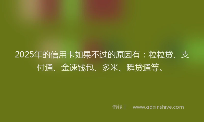 2025年的信用卡如果不过的原因有:粒粒贷、支付通、金速钱包、多米、瞬贷通等。