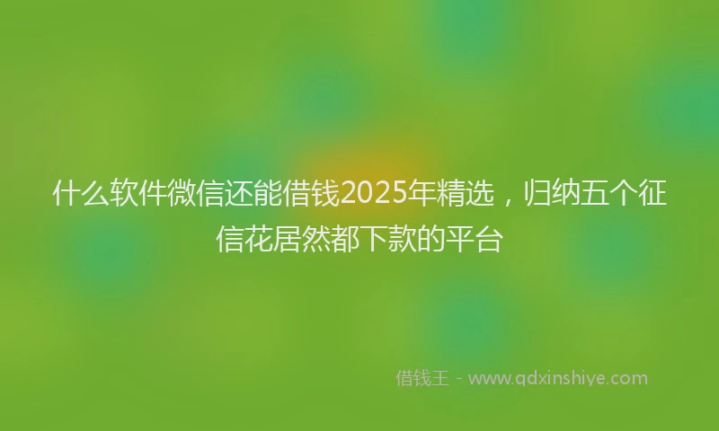 什么软件微信还能借钱2025年精选，归纳五个征信花居然都下款的平台