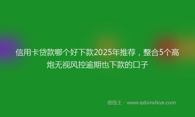 信用卡贷款哪个好下款2025年推荐，整合5个高炮无视风控逾期也下款的口子