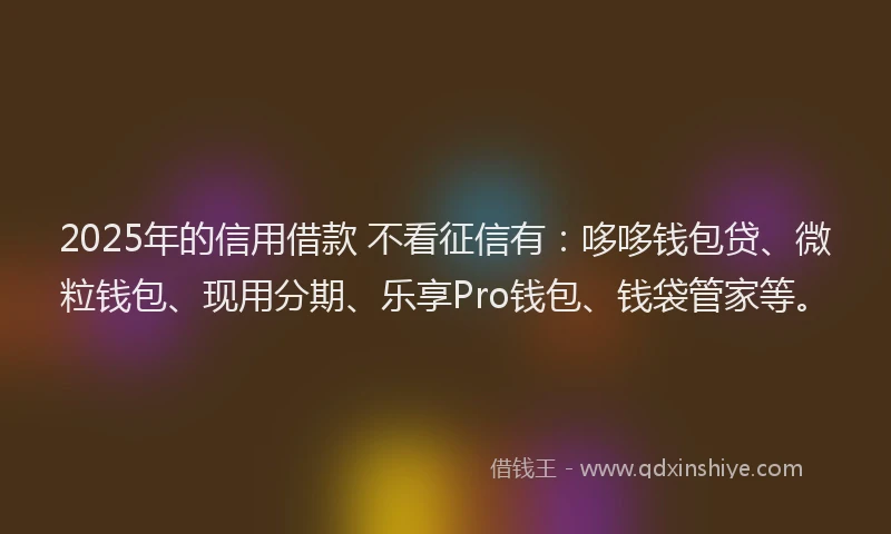 2025年的信用借款 不看征信有：哆哆钱包贷、微粒钱包、现用分期、乐享Pro钱包、钱袋管家等。