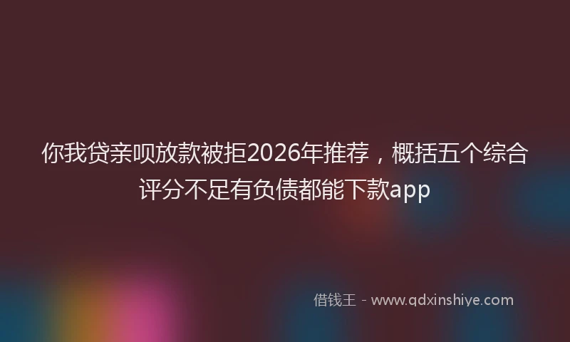 你我贷亲呗放款被拒2026年推荐，概括五个综合评分不足有负债都能下款app