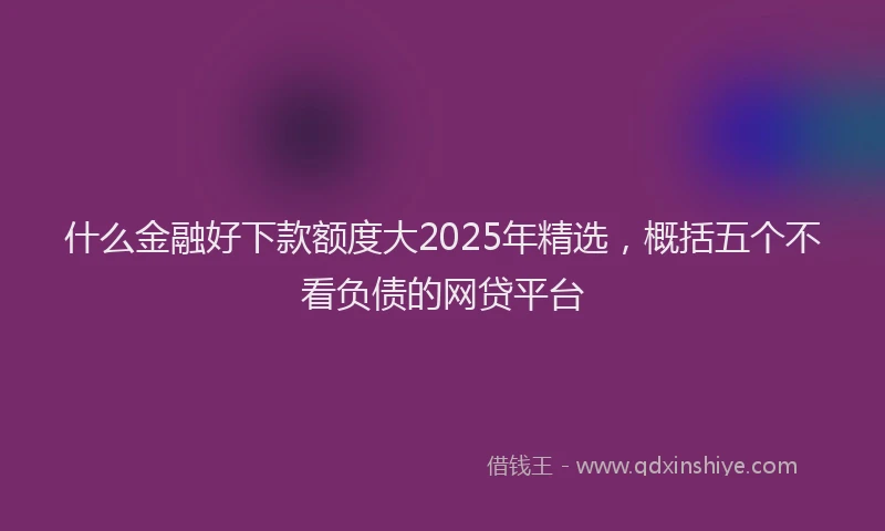 什么金融好下款额度大2025年精选，概括五个不看负债的网贷平台