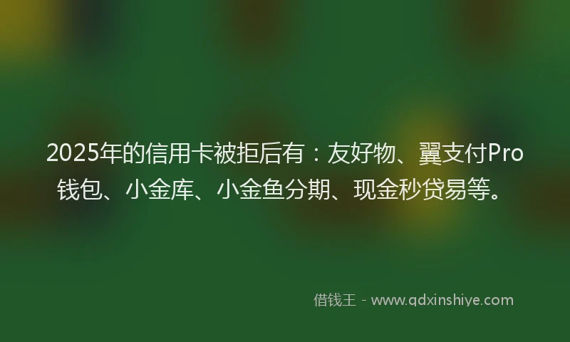 2025年的信用卡被拒后有:友好物、翼支付Pro钱包、小金库、小金鱼分期、现金秒贷易等。