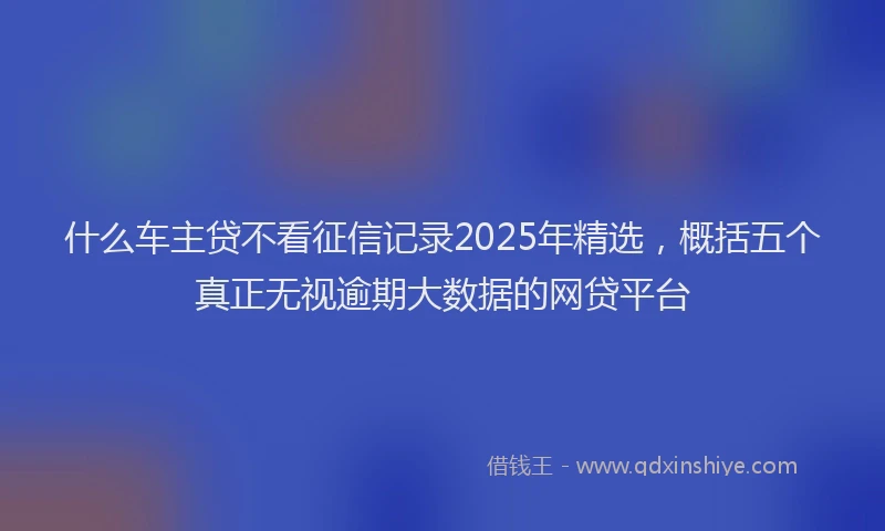 什么车主贷不看征信记录2025年精选,概括五个真正无视逾期大数据的网贷平台