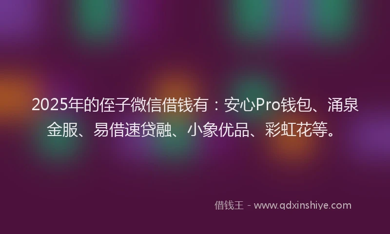 2025年的侄子微信借钱有：安心Pro钱包、涌泉金服、易借速贷融、小象优品、彩虹花等。