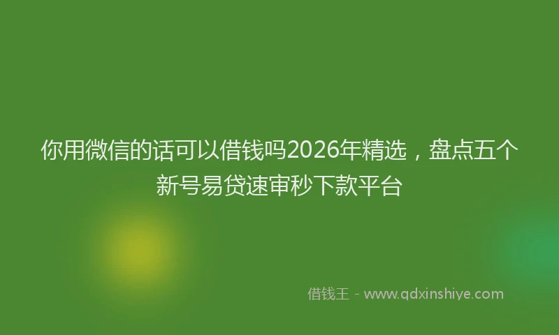 你用微信的话可以借钱吗2026年精选,盘点五个新号易贷速审秒下款平台