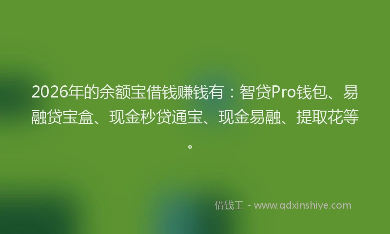 2026年的余额宝借钱赚钱有：智贷Pro钱包、易融贷宝盒、现金秒贷通宝、现金易融、提取花等。
