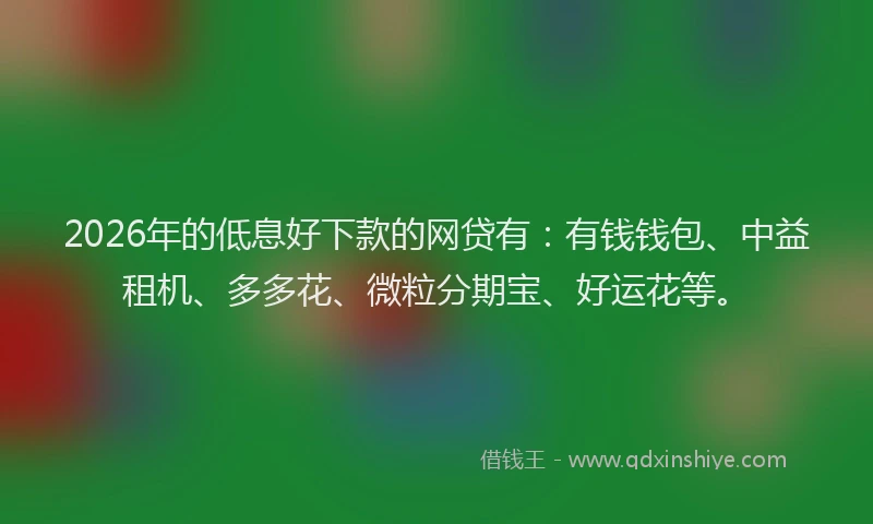 2026年的低息好下款的网贷有：有钱钱包、中益租机、多多花、微粒分期宝、好运花等。