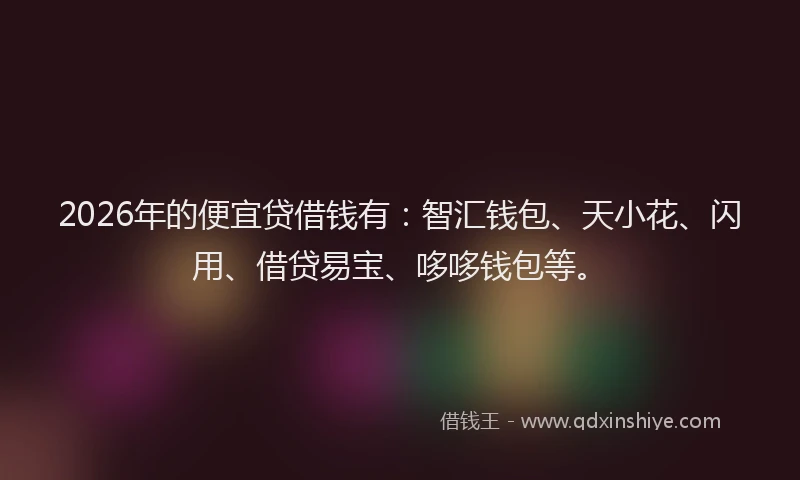 2026年的便宜贷借钱有：智汇钱包、天小花、闪用、借贷易宝、哆哆钱包等。