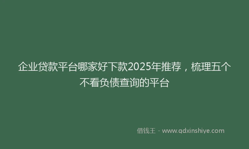 企业贷款平台哪家好下款2025年推荐，梳理五个不看负债查询的平台