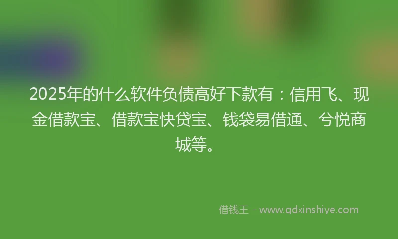2025年的什么软件负债高好下款有：信用飞、现金借款宝、借款宝快贷宝、钱袋易借通、兮悦商城等。