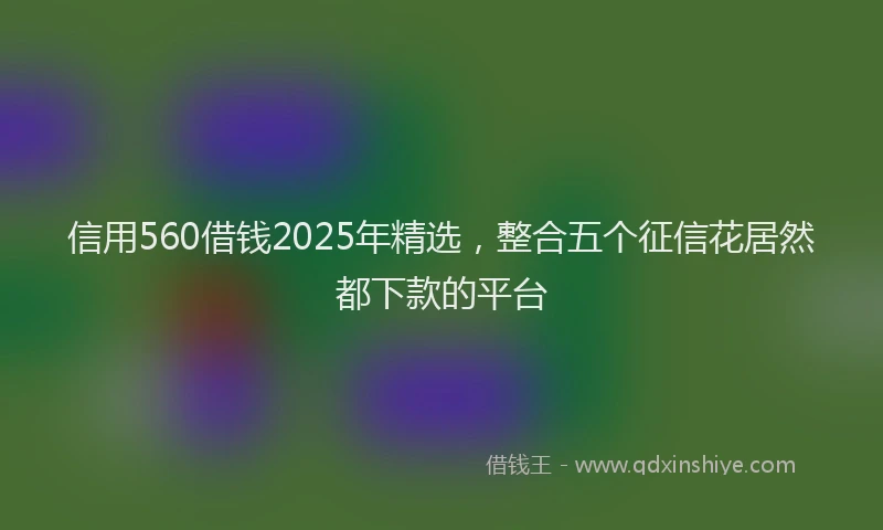 信用560借钱2025年精选，整合五个征信花居然都下款的平台