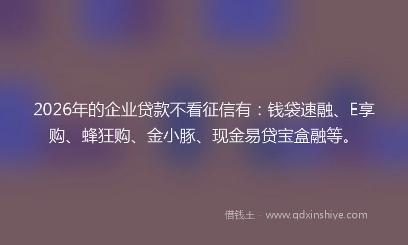 2026年的企业贷款不看征信有：钱袋速融、E享购、蜂狂购、金小豚、现金易贷宝盒融等。