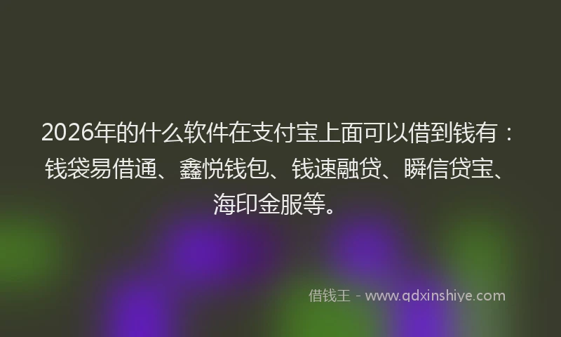 2026年的什么软件在支付宝上面可以借到钱有：钱袋易借通、鑫悦钱包、钱速融贷、瞬信贷宝、海印金服等。